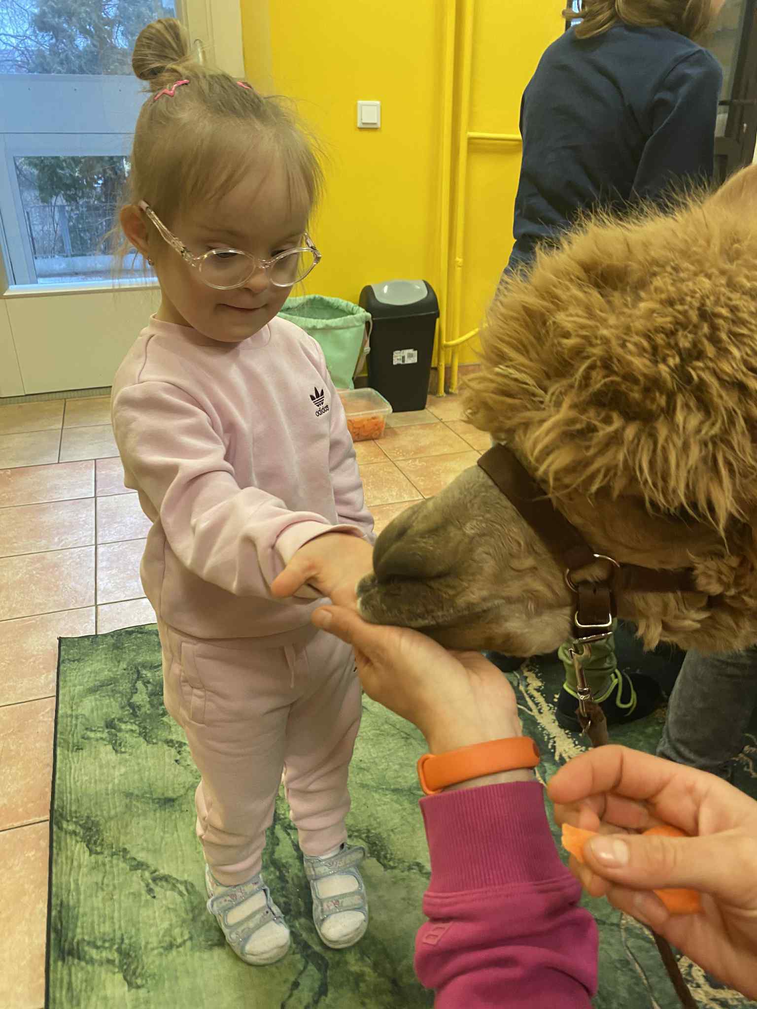 624377139 1400724095087054 3720773985384200218 n