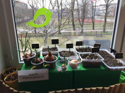 Zdjęcie 6 - Wiosenny kącik przyrody