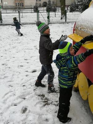 Zdjęcie 17 - TYGRYSKOWE BRYKANIE NA ŚNIEGU