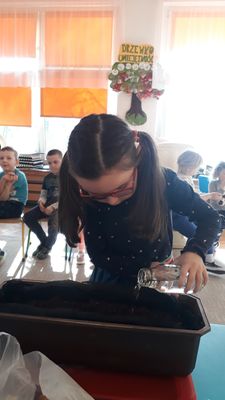 Zdjęcie 5 - Marzec 2021