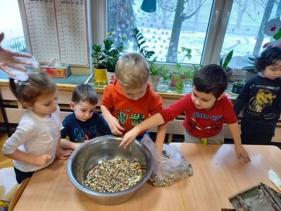Zdjęcie 10 - Dokarmianie ptaków zimą