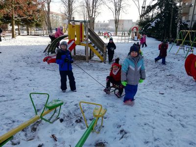 Zdjęcie 7 - Styczeń 2021