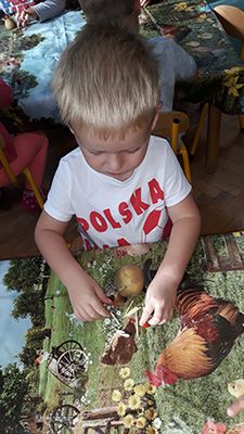 Zdjęcie 22 - Praca plastyczna "Jeż"