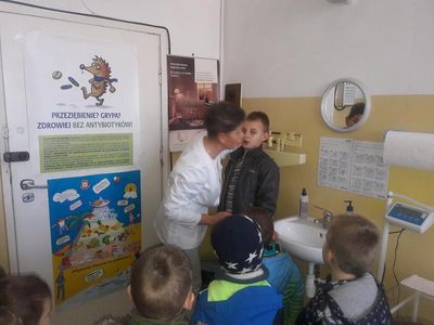 Zdjęcie 1 - TYGRYSKI U HIGIENISTKI SP 12