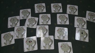Zdjęcie 21 - Dzień kota