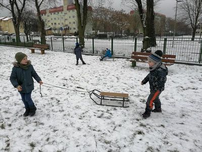 Zdjęcie 6 - TYGRYSKOWE BRYKANIE NA ŚNIEGU