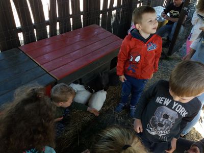Zdjęcie 7 - Wycieczka na "Wesołe Ranczo"