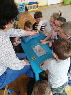 Zdjęcie 16 - Kwiecień 2021