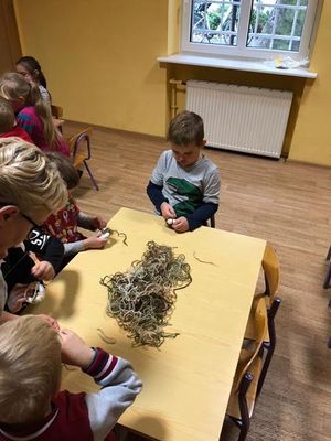 Zdjęcie 7 - Wycieczka do MUZEUM