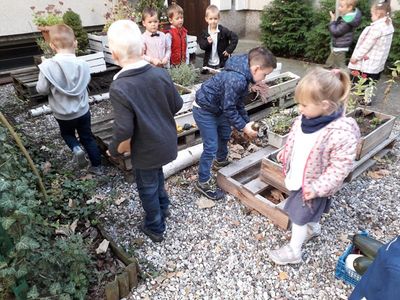 JESIENNIE U KRÓLICZKÓW