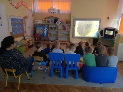 Zdjęcie 30 - Październik 2020