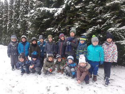 TYGRYSKOWE BRYKANIE NA ŚNIEGU