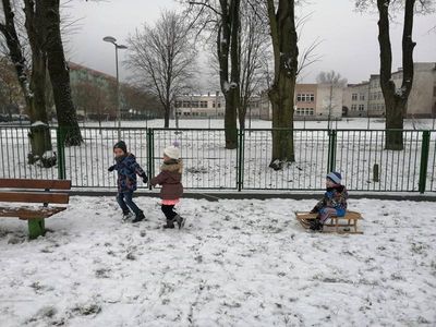 Zdjęcie 4 - TYGRYSKOWE BRYKANIE NA ŚNIEGU