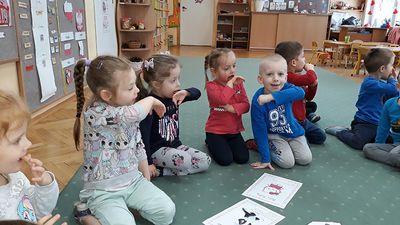 Zdjęcie 5 - Dzień kota