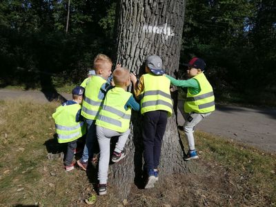 Zdjęcie 26 - Wrzesień 2020