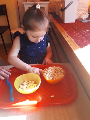 Zdjęcie 7 - Różne aktywnośći dzieci