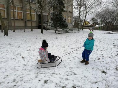 Zdjęcie 3 - TYGRYSKOWE BRYKANIE NA ŚNIEGU
