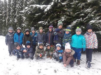 Zdjęcie 15 - TYGRYSKOWE BRYKANIE NA ŚNIEGU