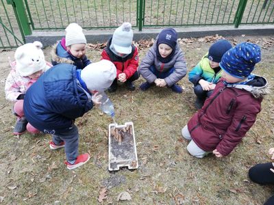 Zdjęcie 37 - Marzec 2021