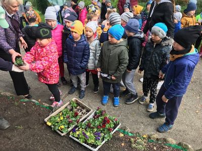 Zdjęcie 1 - Sadzenie kwiatów