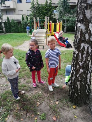 Zdjęcie 14 - Wrzesień 2020